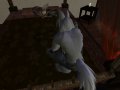 Snapshot_Camera2_039.jpg